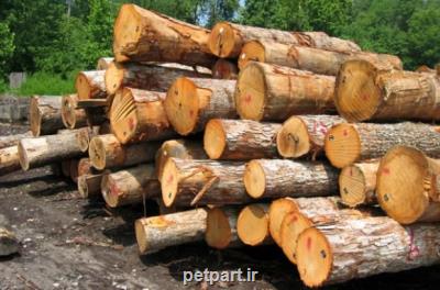 پتانسیل مصرف چوب در ایران 13 میلیون متر مكعب است