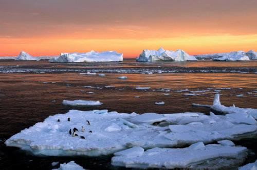 نگاهی کوتاه به نتایج فاجعه بار ذوب شدن یخ های قطب جنوب