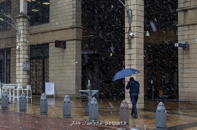 بارش کم سابقه برف در آفریقای جنوبی