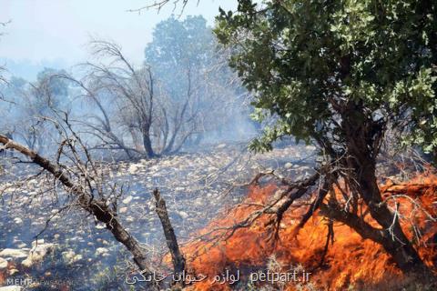 آتش سوزی جنگل های اندیمشك در مناطق سخت گذر كوهستانی بود