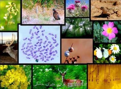 تحریم ها مانع استفاده ایران از كمكهای بین المللی برای حفاظت تنوع زیستی