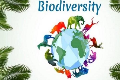 همایش آنلاین تنوع زیستی، راهكار توسعه بوم گردی