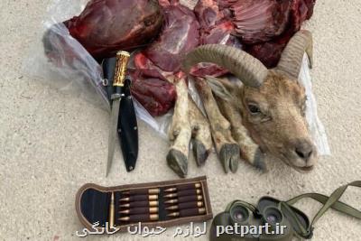 عوامل شكار بدون مجوز در مجن دستگیر شدند