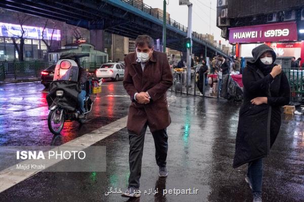 هشدار هواشناسی نسبت به وقوع رگبار و رعد و برق در 11 استان