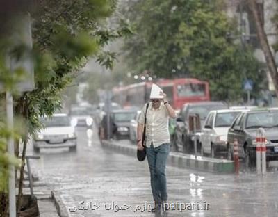 رگبار باران و رعد و برق در ۱۴ استان