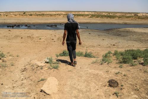 فعالان محیط زیستی خوزستان خواهان تأمین حق آبه هورالعظیم شدند