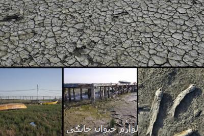 باز شدن پای ریزگردها به شمال