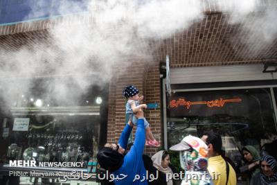 افزایش غلظت ازن در هوای تهران