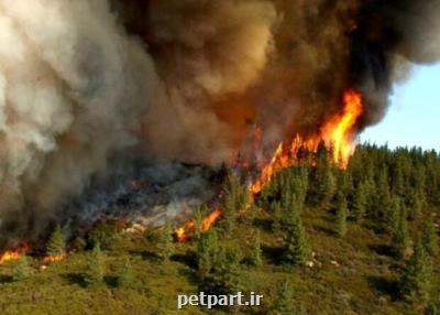 تداوم آتش سوزی در جنگل های ارسباران