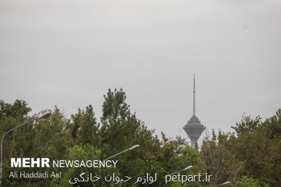 بهبود کیفیت هوای تهران در نیمه نخست تابستان سال جاری نسبت به سال گذشته