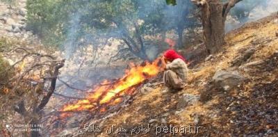 آتشسوزی جنگل های کوه شره کهگیلویه بعد از 3 روز همچنان ادامه دارد بعلاوه عکس