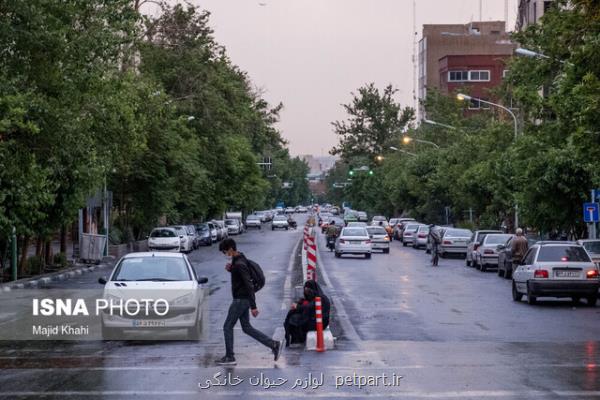 رگبار باران در پنج استان