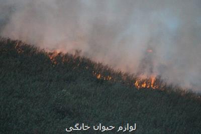 آتش همچنان بر جان تالاب زبانه می کشد