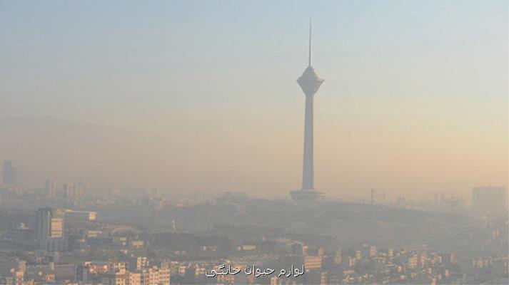 ارتفاع آلاینده ها از سطح شهر تهران در ساعات مختلف چقدر است؟