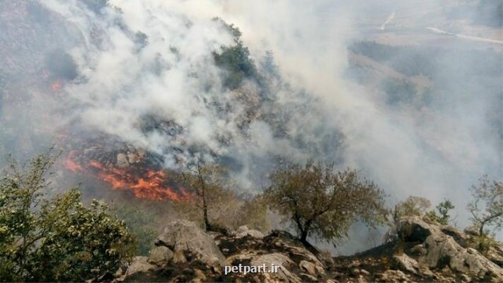 آتش سوزی در منطقه حفاظت شده جهان نما ادامه دارد