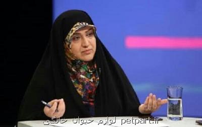 سازمان برنامه و بودجه اعتباری برای قانون هوای پاک تخصیص نداده است
