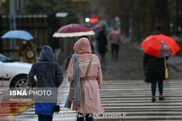 بارش باران و برف در نقاط مختلف کشور