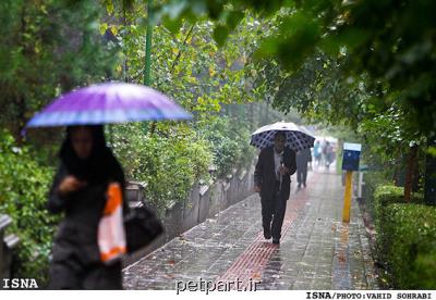بارش رگبار پراکنده در تهران و تداوم کیفیت هوای قابل قبول