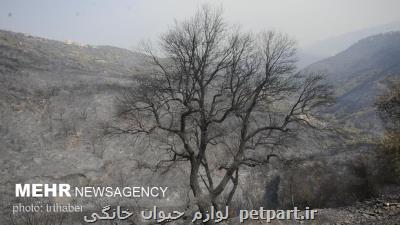 کمتر از ۵۰ درصد سیاست های ابلاغی رهبری محقق شده است