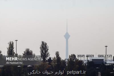 با وجود بارش باران هوای تهران در محدوده ناسالم می باشد