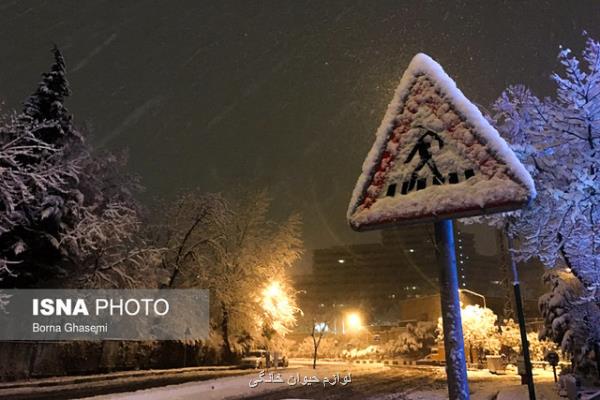 بارش برف و باران در تهران