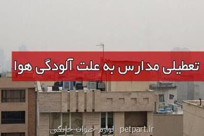 تعطیلی مدارس ابتدایی ۱۱ شهر اصفهان در روز سه شنبه ۲۱ دی تمدید گردید