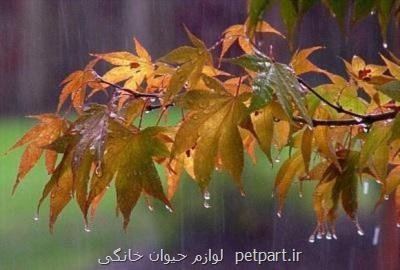 پیشبینی ۹۲ میلی متر بارش برای حوضه آبریز خلیج فارس در هفته آینده