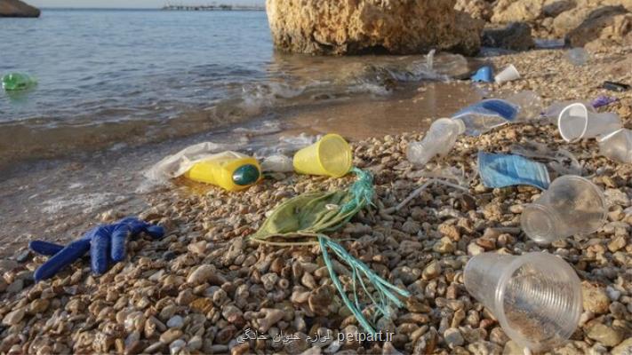نخستین گام سازمان ملل ضد اپیدمی زباله های پلاستیکی