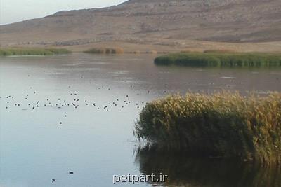 ثبت جهانی تالاب جازموریان