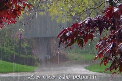 آسمان کشور بارانی می شود
