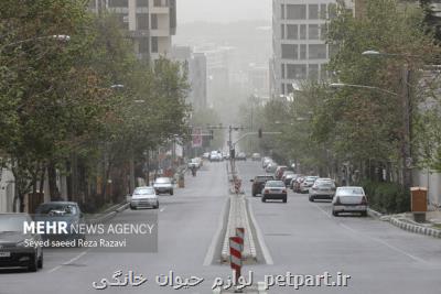 سقوط ۴۰ اصله درخت در اصفهان بر اثر تندباد