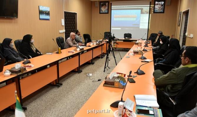 بررسی چالش ها و فرصت های کنشگری در پریشان و بختگان
