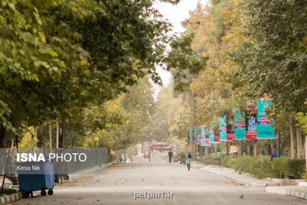 هیچ مخاطره جوی کشور را تهدید نمی کند