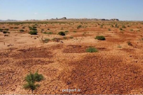 پیچ وخم های اجرای تست میدانی یک نوع مالچ زیستی با منشاء باکتریایی