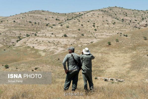 صیانت از بی نظیرترین زیستگاه های کشور با یک پنجم نرم جهانی!