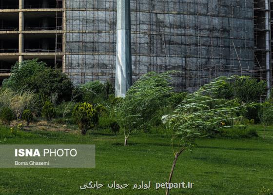 وزش باد نسبتا شدید و گرد و خاک در جنوب تهران