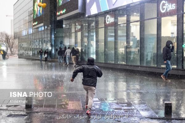 وزش باد شدید، گرد وخاک و رگبار باران در تهران تا یکشنبه