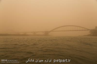 گرد و غبار اهواز 66 برابر حد مجاز