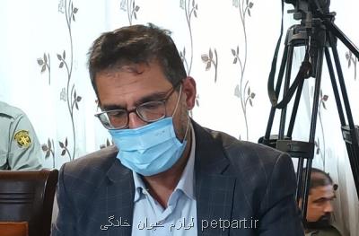 سالانه 800 هزار متر مکعب رسوب وارد تالاب انزلی می شود