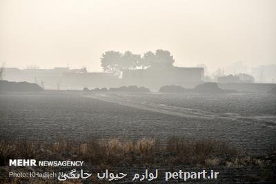 ادامه غبار صبحگاهی در اصفهان تا اختتام هفته