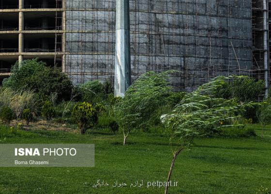 وزش باد شدید و خیزش گرد و خاک در نیمه جنوبی تهران