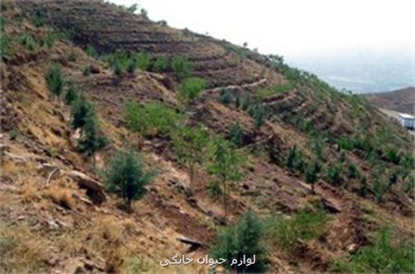 سنددار شدن ۹۱ درصد اراضی ملی تهران تا اختتام مهر