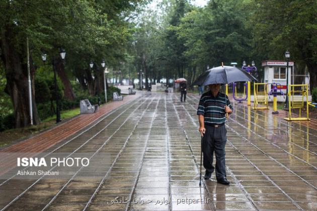 ورود سامانه بارشی و بارش باران در ۵ استان