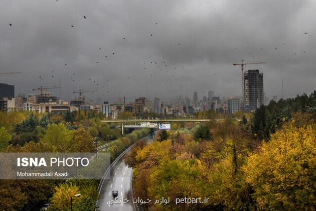 بارش پراکنده در تهران از چهارشنبه