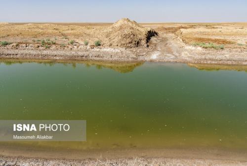 بخش کوچکی از تالاب صالحیه آبگیری شده است