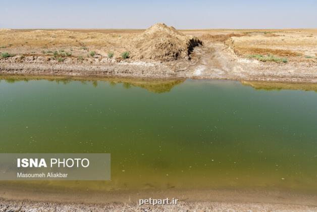 بخش کوچکی از تالاب صالحیه آبگیری شده است