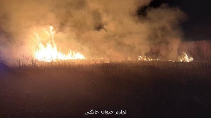 حریق تالاب انزلی مهار گشت