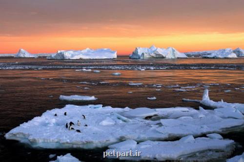 نگاهی کوتاه به نتایج فاجعه بار ذوب شدن یخ های قطب جنوب