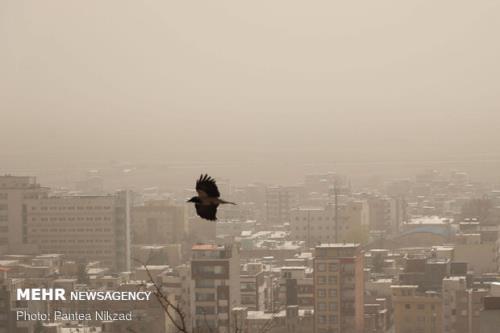 باد‬ و‬ غبار میهمان پایتخت می شود