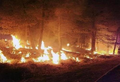 اطلس آتشسوزی جنگل های کشور باید تهیه شود